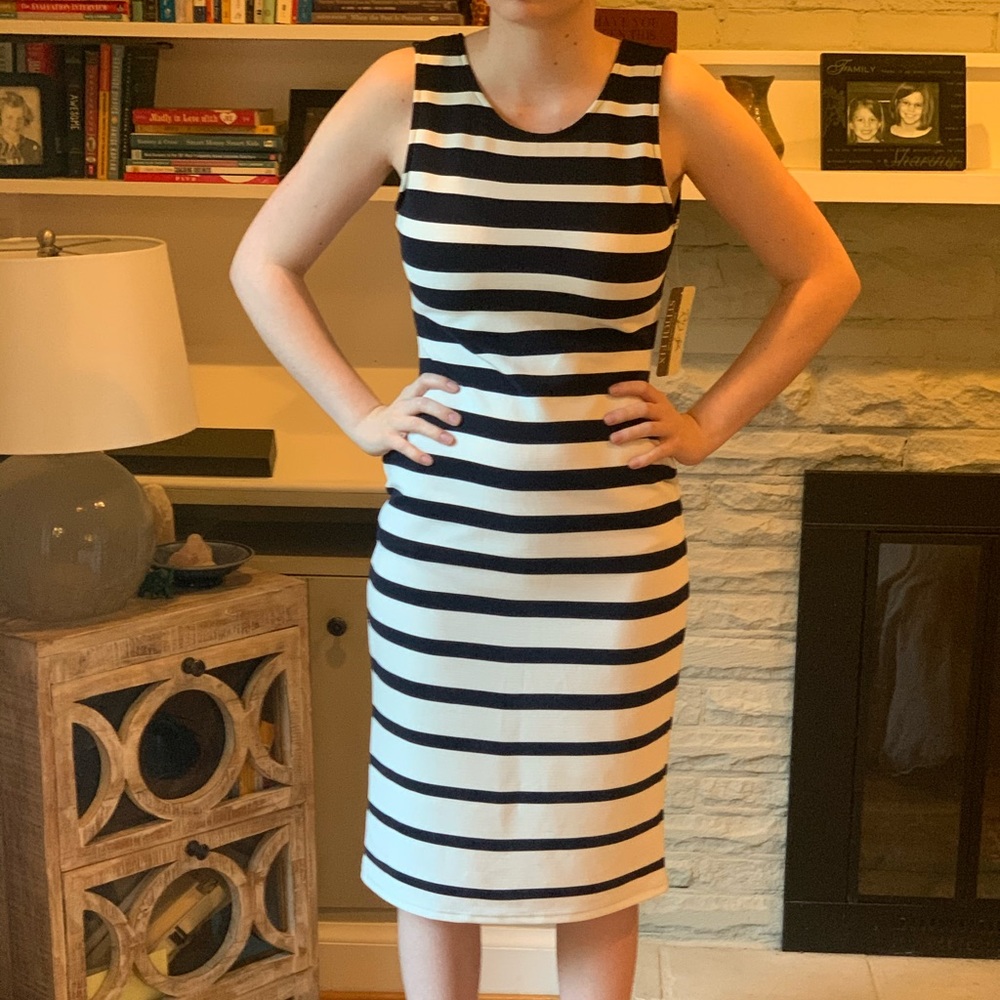 Stitch Fix Navy and White Dress